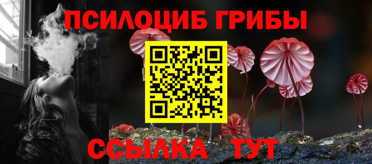 цена   Вход с VPN  Фурманов  Галлюциногенные грибы мухоморы 